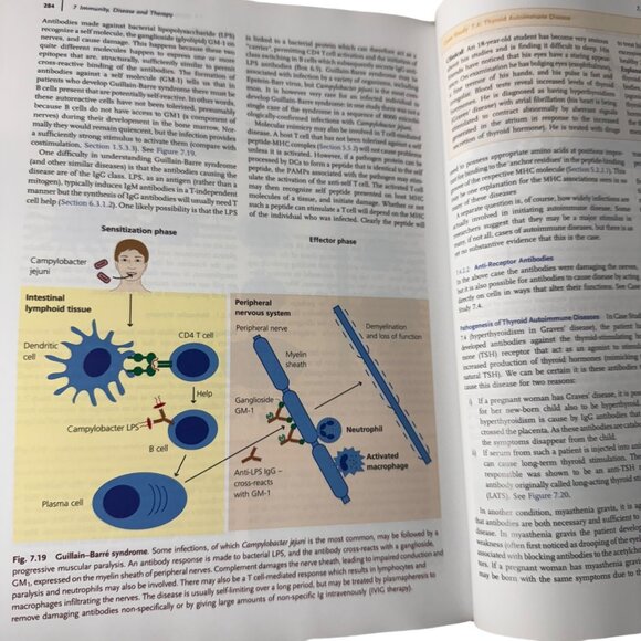 Exploring Immunology Concepts And Evidence By Gordon McPherson & Jon Austyn HC - Picture 16 of 16